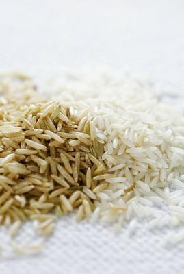 吉林大米 舌尖上的东北瑰宝